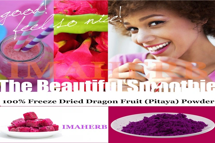 100% Organic Fresh Dragon Fruit Powder OEM Private Label Red Fruit Powder for Juice and Beverages